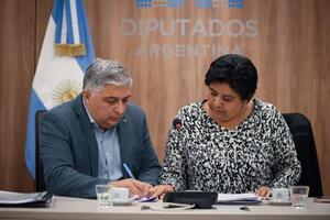 Natalia Sarapura, de la UCR, presidenta de la bicameral. Captura de imagen de la nota.