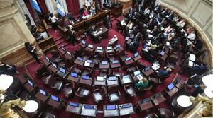 Senado Nacional. Captura de imagen de la nota.