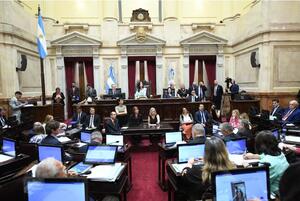 Captura de imagen de la nota "Queda vacante un cargo clave para las infancias y presentaron un amparo para que el Congreso lo cubra". En la foto, Sesión Pública del Senado precidida por Victoria Villarruel