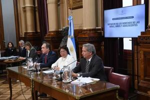 Bicameral del Defensor de los Derechos de las Niñas Niños y Adolescentes. Captura de imagen de la nota.